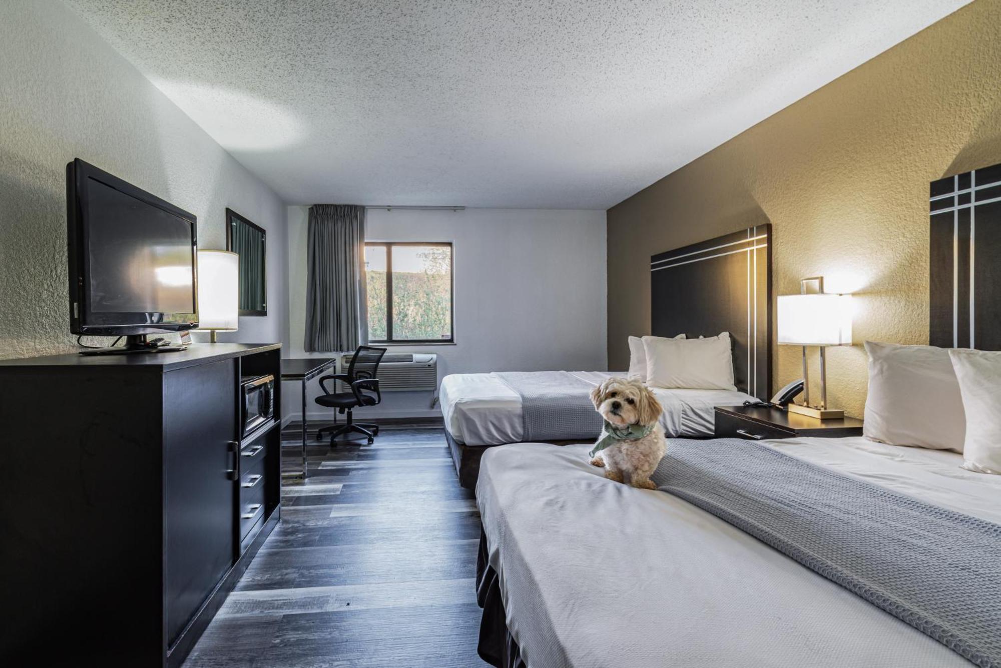 Econo Lodge Cleveland Southeast - Kent Streetsboro Buitenkant foto