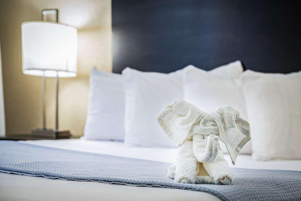 Econo Lodge Cleveland Southeast - Kent Streetsboro Kamer foto